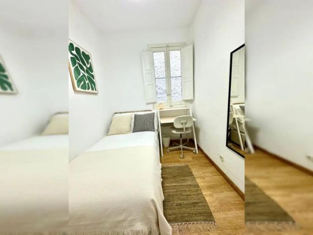 Room in a shared 4 bedroom apartment for rent in Arapiles, perfect for professionals and students