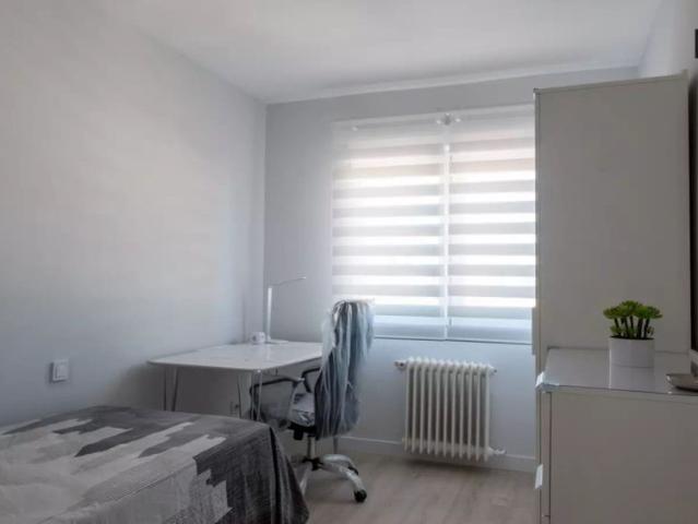 Room in a shared 4 bedroom apartment for rent in Bellas Vistas for professionals and students