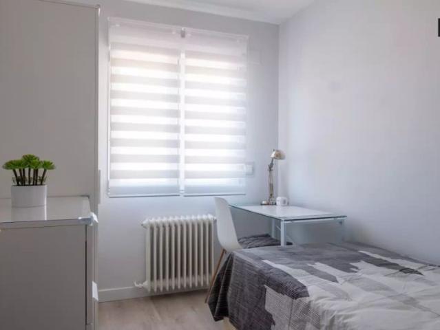 Room in a shared 4 bedroom apartment for rent in Bellas Vistas for professionals and students