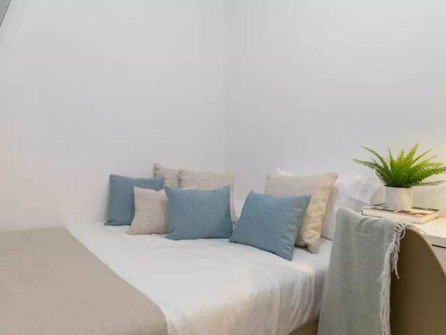 Room in a shared 4 bedroom apartment for rent in La Sagrada Familla, professionals only