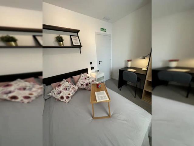 Room in a shared 4 bedroom apartment for rent in Puerta Bonita, professionals and students only