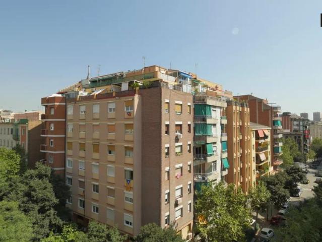 Room in a shared 5 bedroom apartment for rent in el Clot
