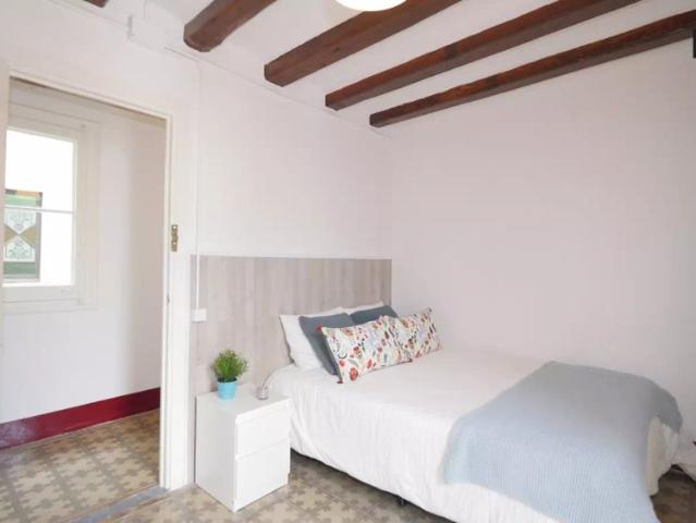Room in a shared 5 bedroom apartment for rent in El Gòtic, perfect for professionals and students