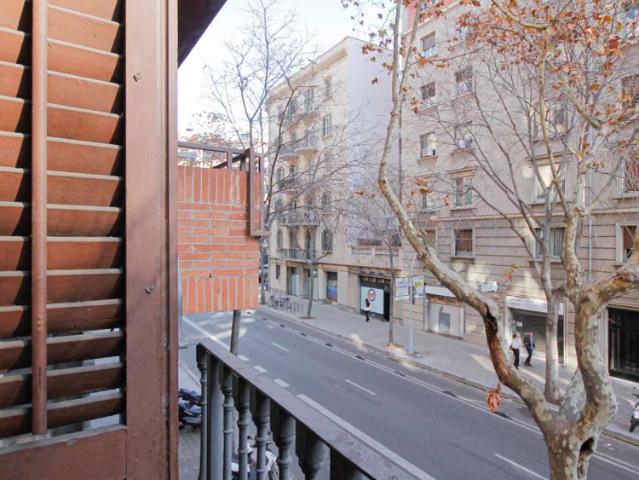 Room in a shared 5 bedroom apartment for rent in la Nova Esquerra de l'Eixample