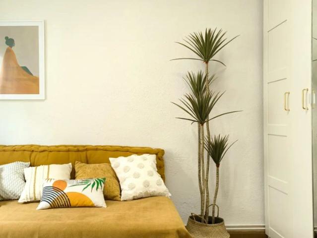 Room in a shared 5 bedroom apartment for rent in Milagrosa Arrosadia