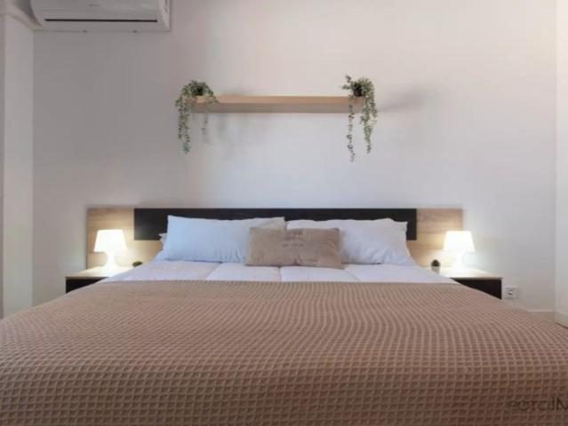 Room in a shared 6 bedroom apartment for rent in Castillejos