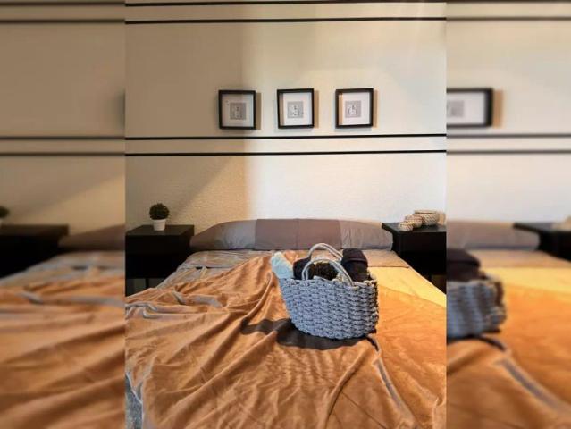 Room in a shared 6 bedroom apartment for rent in Estrella, all bills included