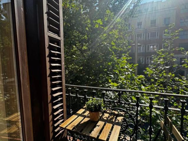 Room in a shared 6 bedroom apartment for rent in Trafalgar, professionals only, no couples
