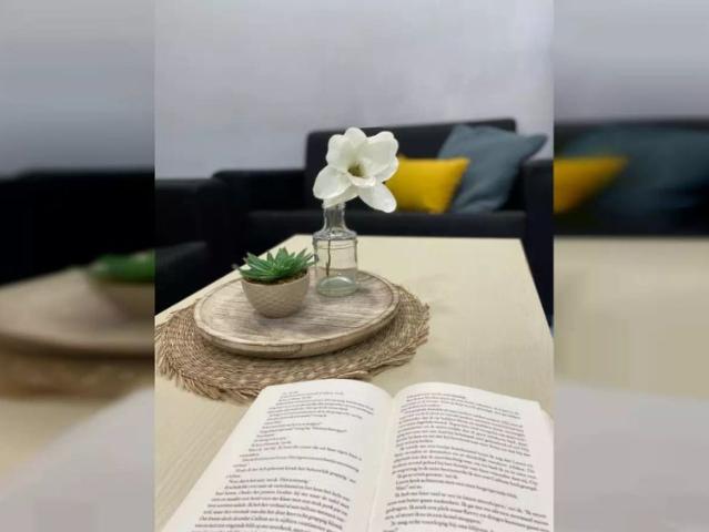 Room in a shared 7 bedroom apartment for rent in Sol, professionals and students only