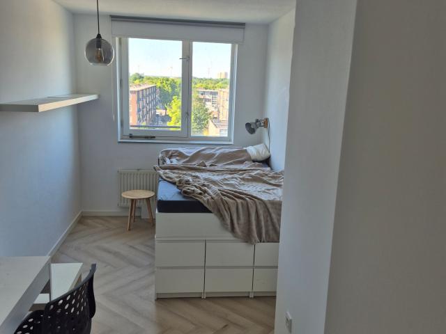 Room in Amsterdam, *FEMALE
