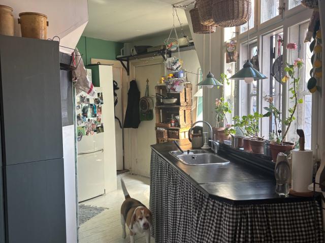 ROOM IN CENTRAL COPENHAGEN