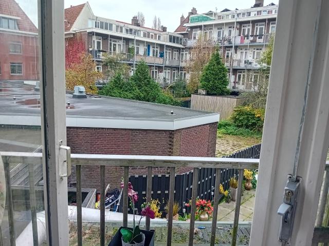 Room in city for women