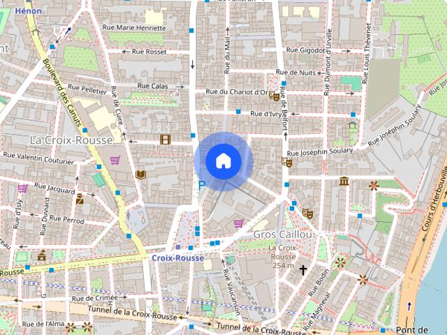 Room in Croix Rousse, rue d'austerlitz