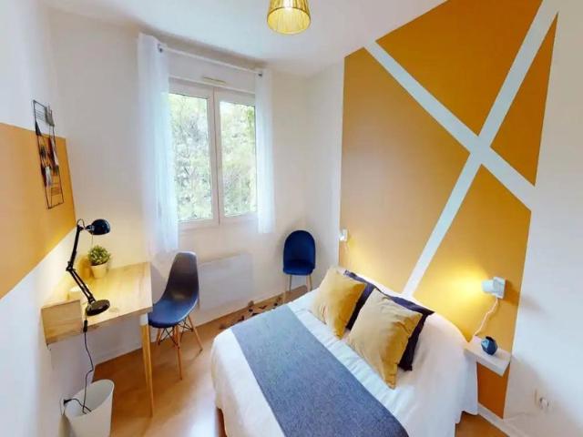 Room in Lyon Rue Roposte, Part Dieu