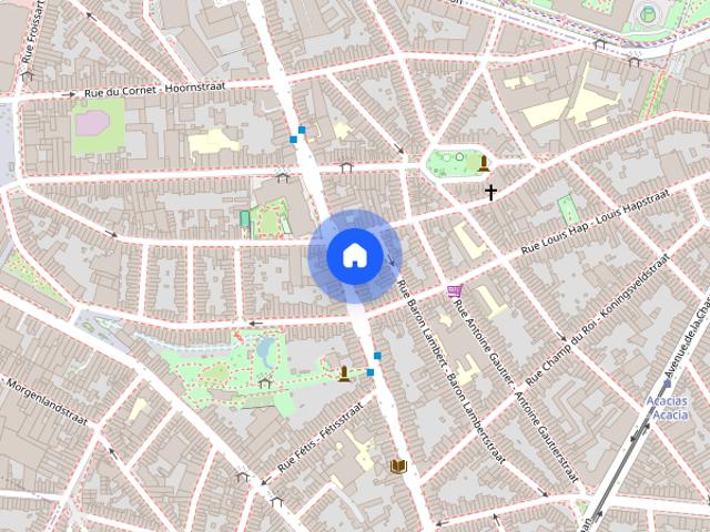 Room in shared 4 bed for rent in Jourdan, Brussels