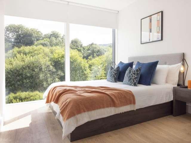 Room in shared 2 bedroom apartment, Dublin