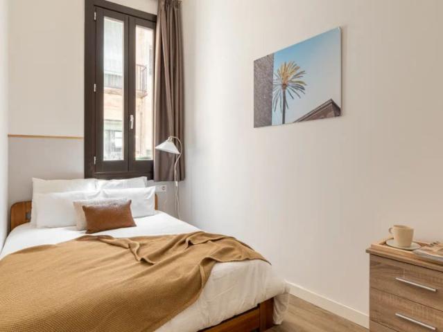 Room in shared apartment in Barcelona
