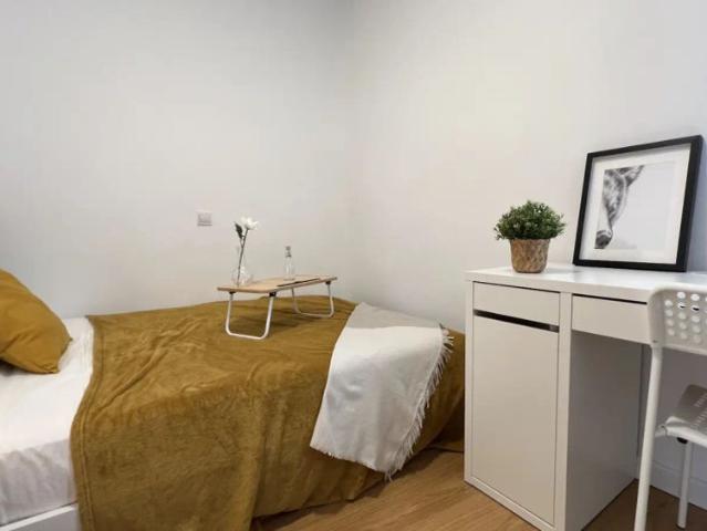 Room in shared apartment in Madrid