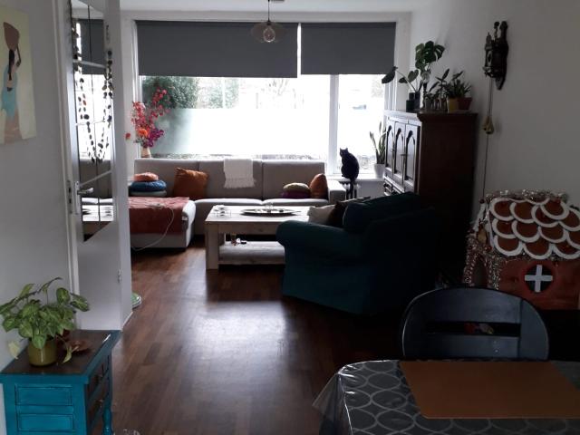 room in shared house