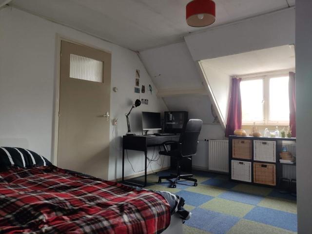 Room in the city center for rent