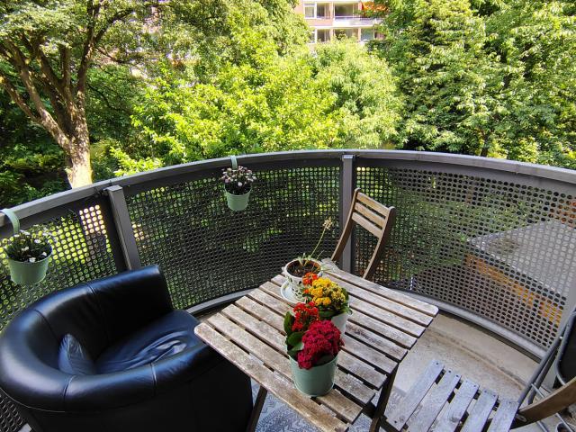 Room in Zuid available from August