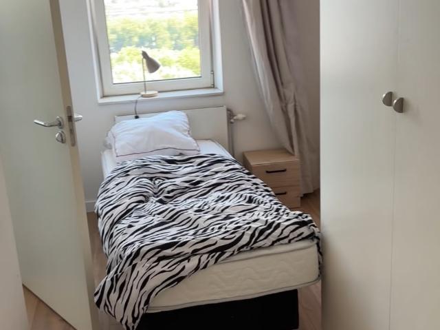 Room in 3 bedroom apartment for rent ASAP