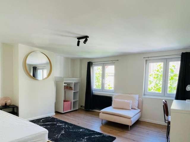 Room shared, 7 bedroom flat in Brussels