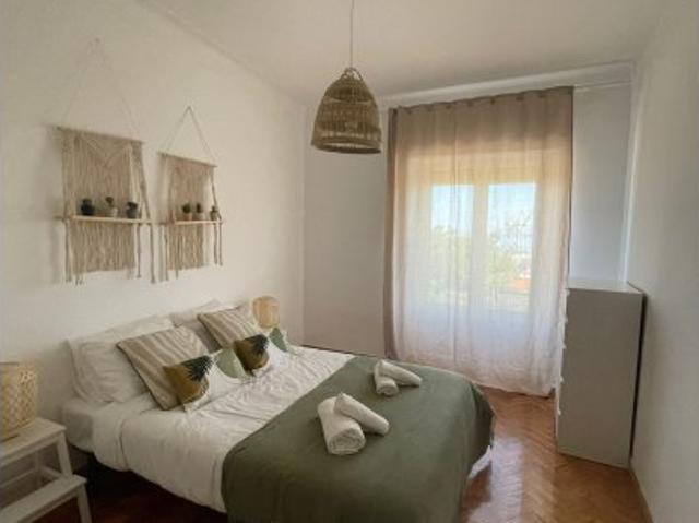 room_shared lisbon