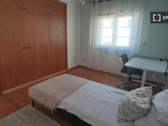 room_shared lisbon
