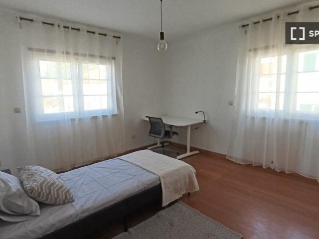 room_shared lisbon