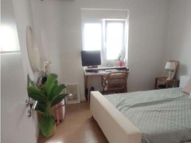 room_shared lisbon