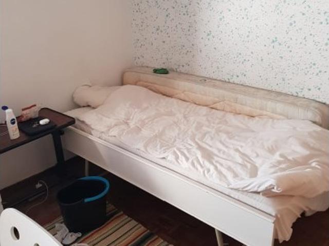 room_shared lisbon