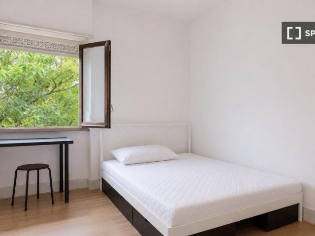room_shared lisbon