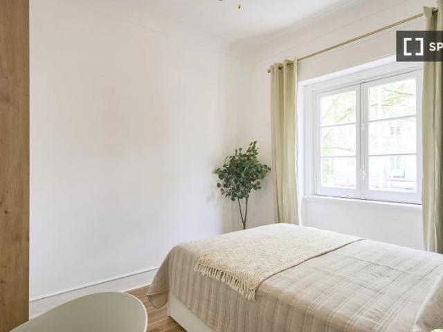 room_shared lisbon