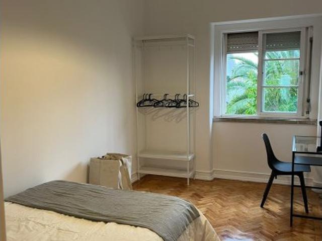 room_shared lisbon
