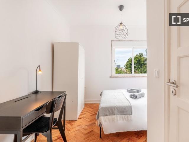 room_shared lisbon