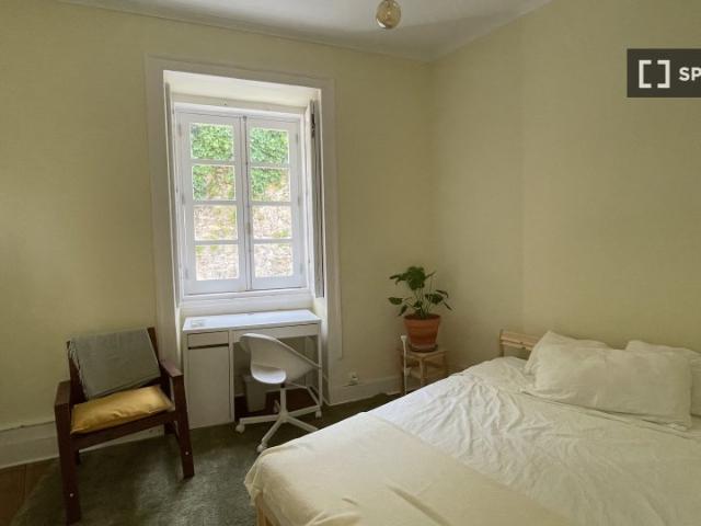 room_shared lisbon