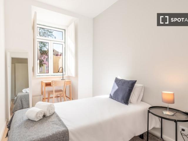 room_shared lisbon