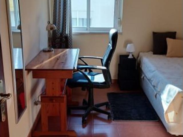 room_shared lisbon