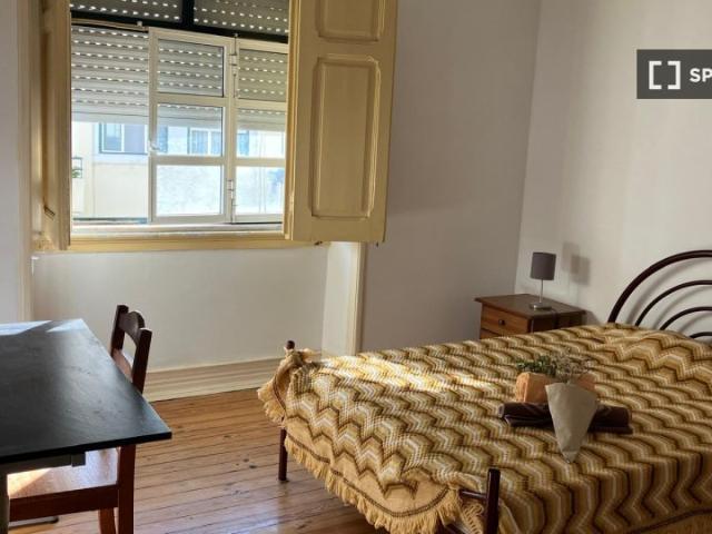 room_shared lisbon