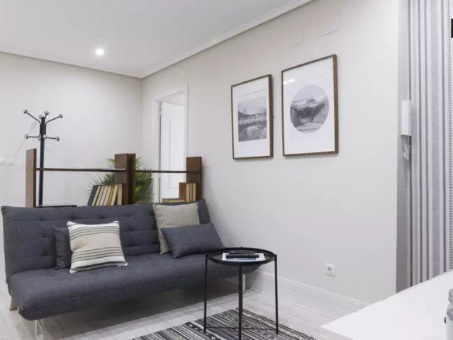 Room to rent in elegant 5 bedroom apartment in vibrant Indautxu