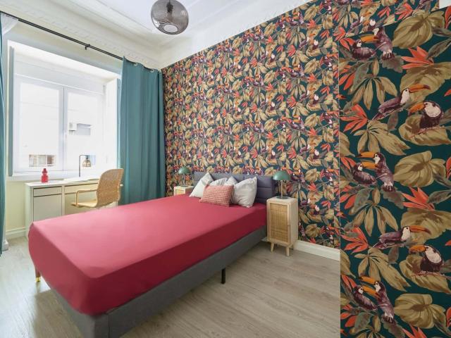 Room 2 79. R.Sampaio Pina 9 RCE