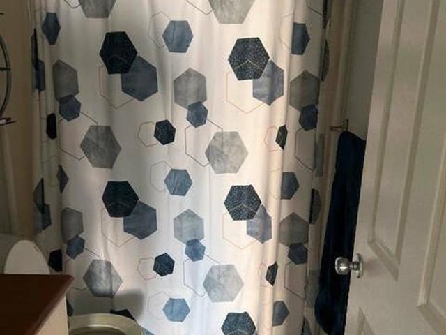 Rooms for rent