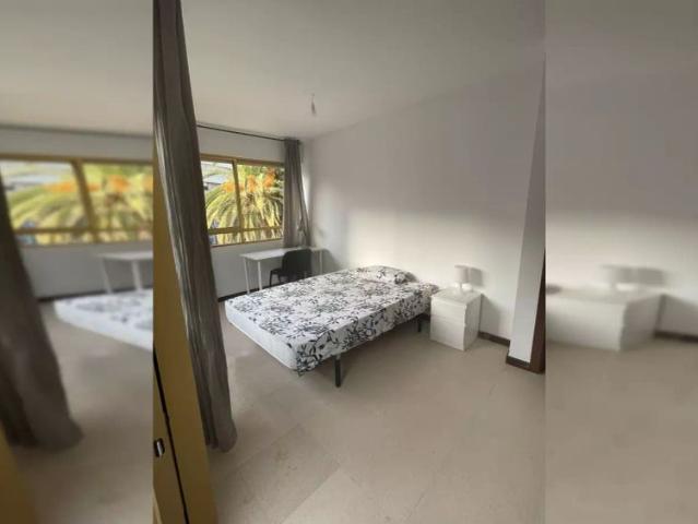 Rooms for rent for students in 4 bedroom apartment in Alicante