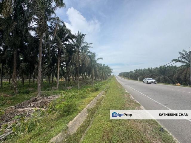 Road Side 6 acre Agriculture Land Jalan Kulai SALE