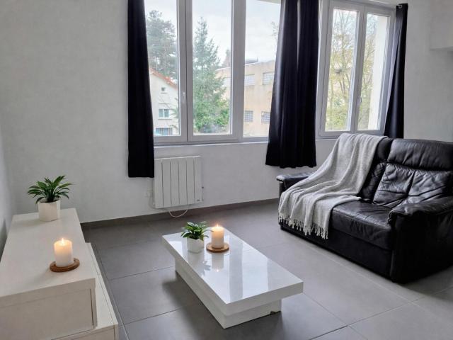 Roanne Location Appartement 42
