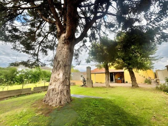 Roanne Vente Maison 42