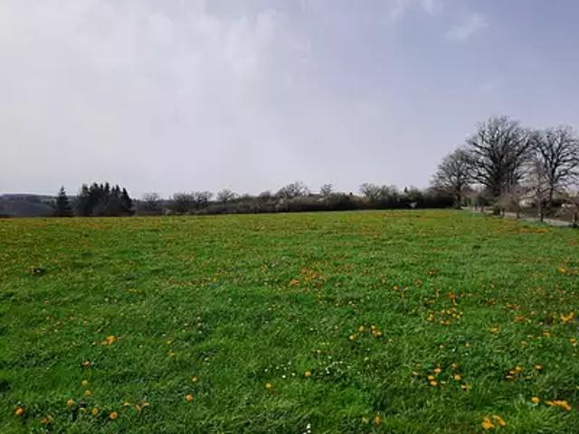 Roannes Saint Mary 15220 Programme neuf terrain neuf à vendre