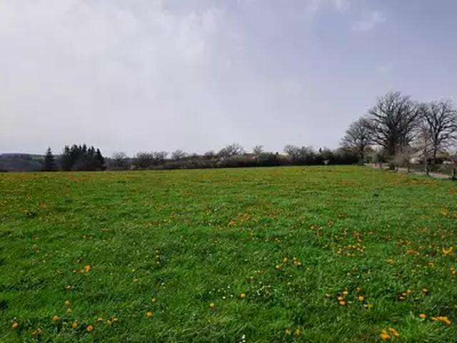 Roannes Saint Mary 15220 Programme neuf terrain neuf à vendre
