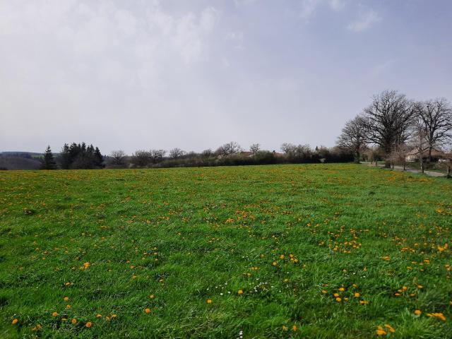 Roannes Saint Mary Vente Terrain 15